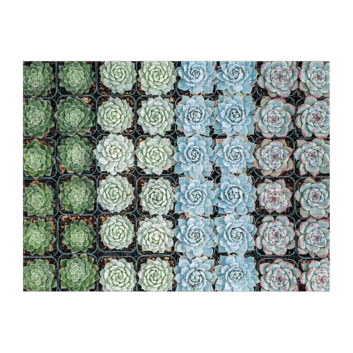 Succulent Garden 500 Piece Double-Sided Puzzle - Quick Ship - Puzzlicious.com